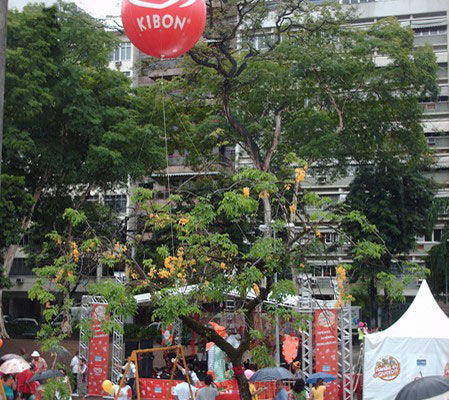 CARNAVAL 2011